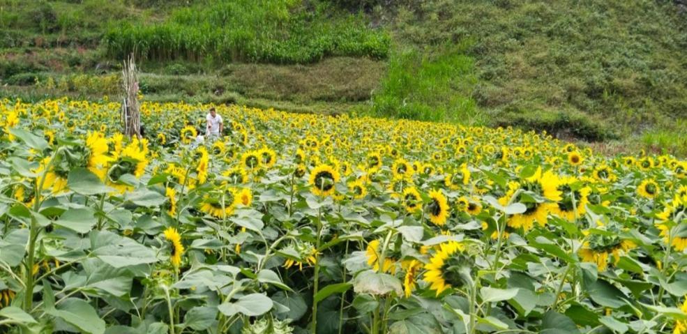Nha Nghi Anh Van Dong Van (Ha Giang) Exterior foto